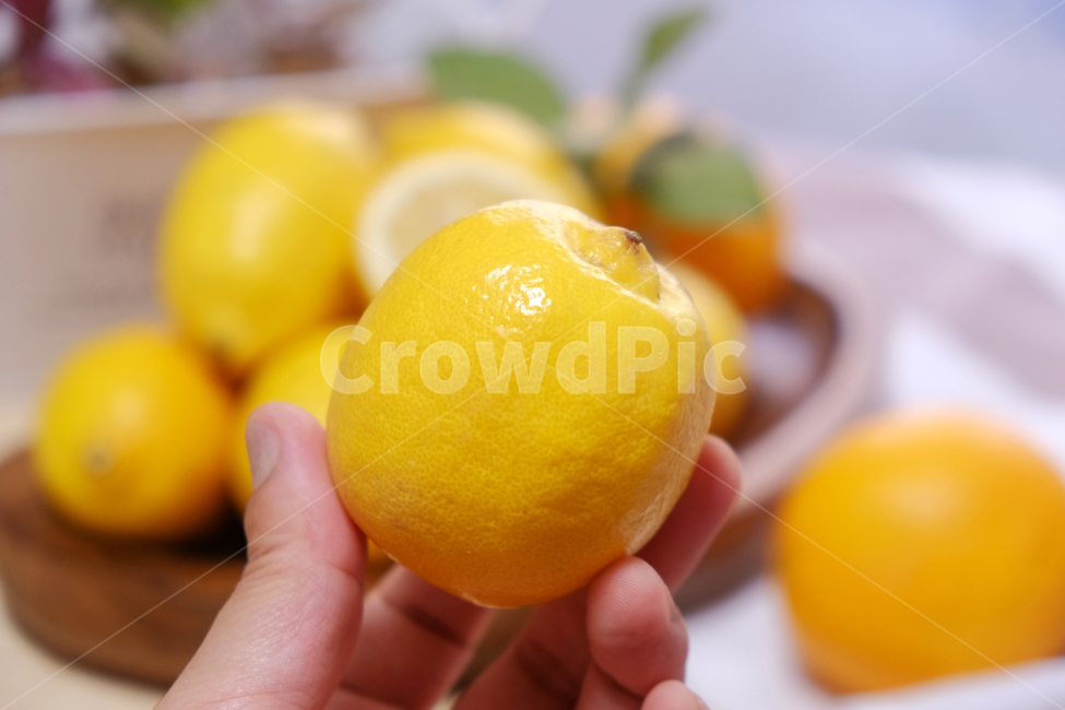 레몬,과일,식품,신선,음식,노랑,상큼,새콤,열매,lemon,fruit,fresh,food,yellow,bunch,sour,berries,음식,식재료,요리,food,cook,meal,dishes,food reserves,과일,열매,fruit
