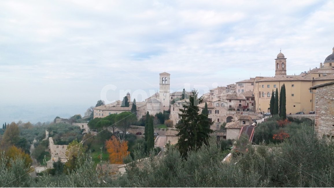 아씨시,아시시,assisi,이탈리아,italy,마을,풍경,나무,하늘,해외,유럽,town,landscape,trees,sky,oversea,europe,도시,풍경,city,landscape,해외,외국,세계,foreign,oversea,world,세계도시풍경,해외도시풍경,외국도시풍경,world cityscape,tree,plant,식물,abies,아비,fir,전나무