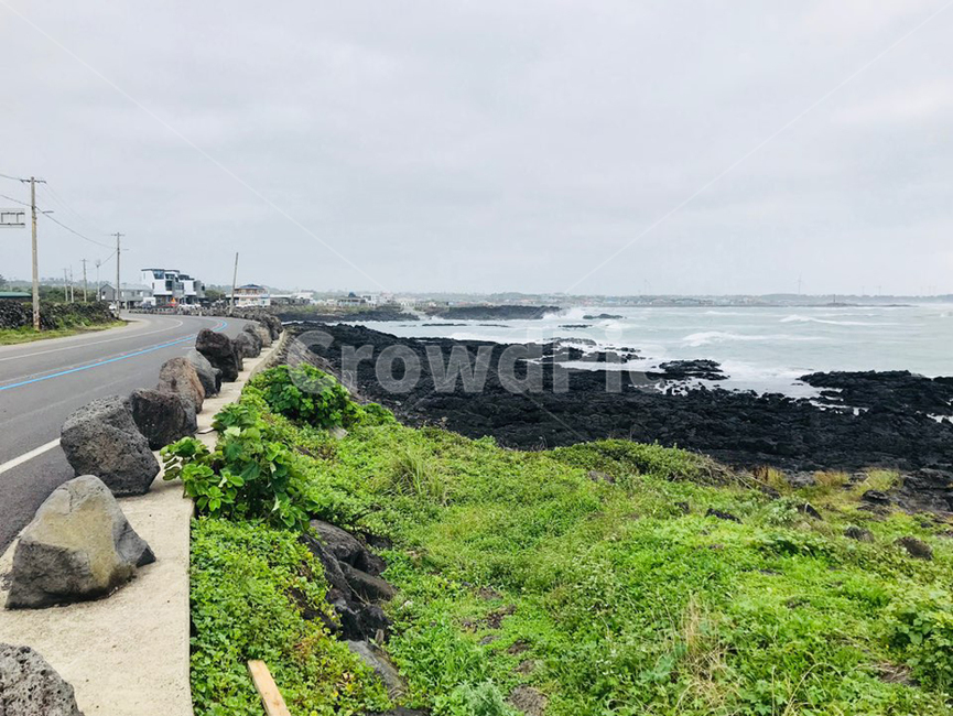 제주도,풍경,들,초록색,바다,경치,여름,휴가,힐링,jeju