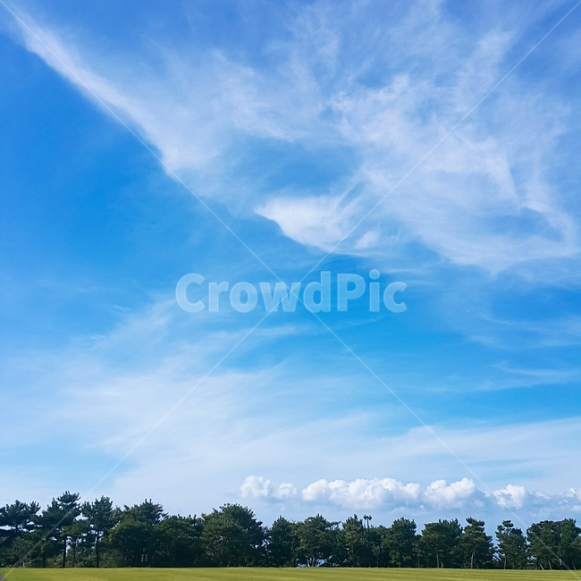 제주도,하늘,구름,자연,초원,풍경,자연,풍경,nature,landscape,outdoors,옥외,azure sky,푸른 하늘,sky