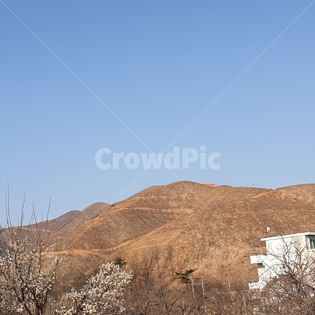 민둥산,목초지,산불피해,산기슭,산중턱