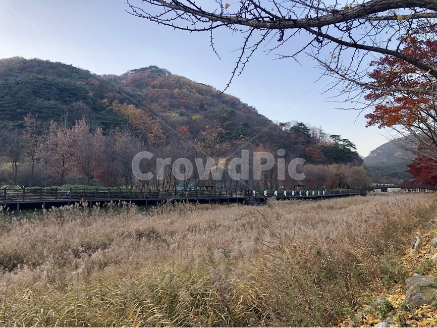 가을,풍경,낙엽,한국,자연,natural,korea,가을,계절,fall,autumn,season,자연,풍경,nature,landscape,한국자연풍경,한국자연경관,korea nature landscape