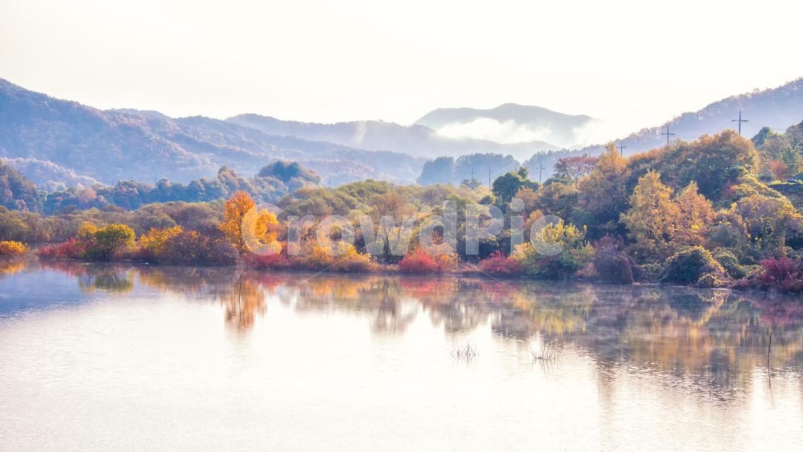 가을풍경,가을,반영,자연,nature,용담호,tree,plant,가을,계절,fall,autumn,season,자연,풍경,nature,landscape,한국자연풍경,한국자연경관,korea nature landscape