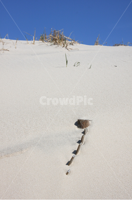 beach,모래사장,nature,모래,outdoors