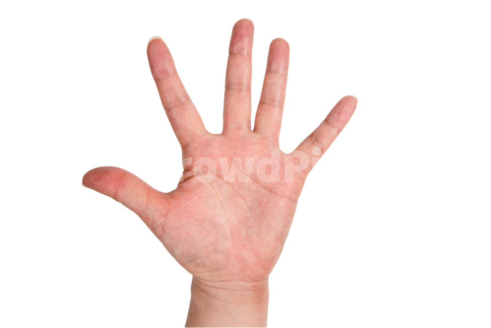 동작,남자,생활,팔,관심,몸,바디,신체,신체부분,육체,컨셉,컨셉트,콘셉,콘셉트,집계,카운트,방위,방향,손가락,몸짓,제스처,제스쳐,핸드,수,부위,상징,심벌,심볼,사상,경고,하얀,화이트,흰,흰색,손,다섯,오,5,숫자,보자기,보,손금,손바닥,사람,인물,인간,human,person,신체일부,몸,body,손,제스처,표시,손짓,표현,gesture,hand,sign,expression,연출,컨셉,콘셉,direction,concept,누끼,remove background