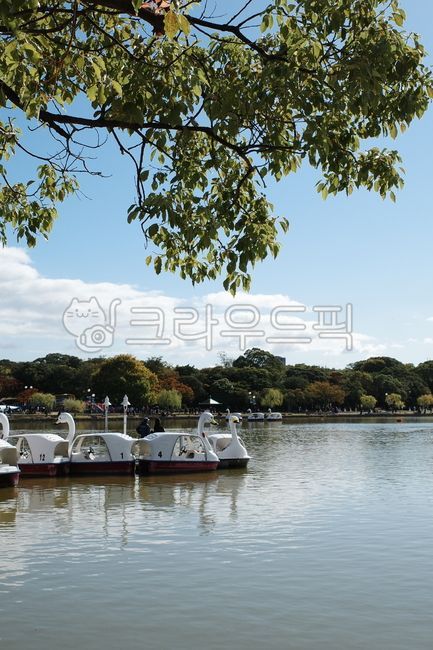 오호리공원,호수보트,오리배,호수,일본공원,후쿠오카,물위산책,여유로운오후,가족나들이,데이트코스,잔잔한물결,공원레저