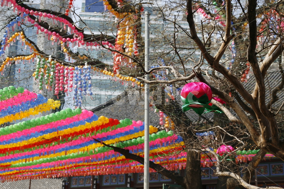 부처님오신날,연등,불교,사찰,석가탄신일,한국전통,한국문화,korean traditional,korean culture,종교,신앙,religion,belief,faith,축제,행사,festival,carnival,event,기념일,축하,anniversary,congratulation,celebrate,celebration