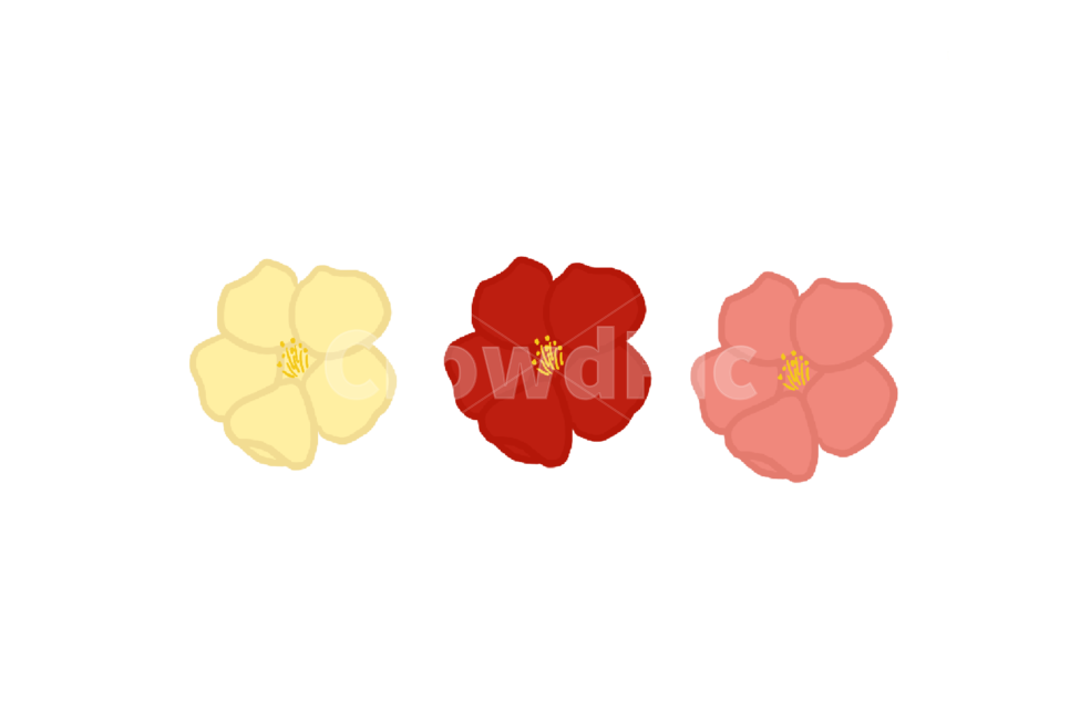 벚꽃,봄,꽃,꽃잎,plant,식물,flower