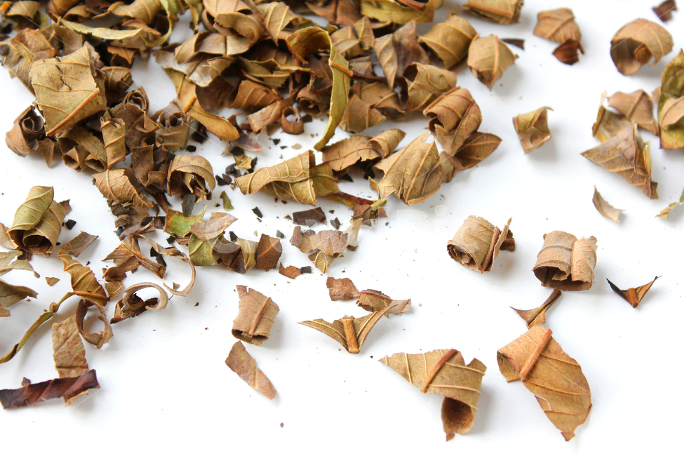 natural,nature,organic,food,healthy,plant,brown,driedleaf,dry,dryleaf,guava,guavatea,leaf,tea,white,자연,음식,식배료,차,차잎,건강,식물,브라운,갈색,말린잎,말린,건조,건조시킨,구아바,구아바잎,잎,나뭇잎,가루,흰배경,구아바차,음식,식재료,요리,food,cook,meal,dishes,food reserves