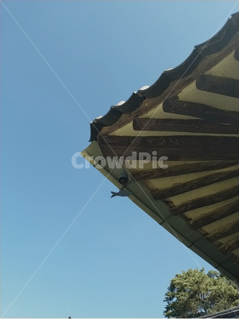 nature,자연,outdoors,옥외,countryside,한지방,building,건물,풍경,기와,고택,한국전통,전통,하늘,나무,sky,tree,초록,파랑,파란색