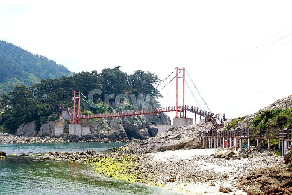 다리,출렁다리,연대도,만지도,에코섬,자연,풍경,nature,landscape