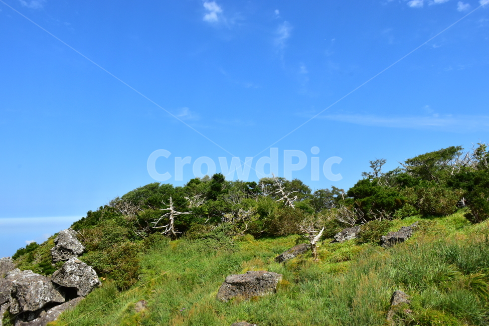 영실,한라산,제주,기암괴석,절경,자연,풍경,힐링,여름,계절,탐방,등산,season,nature,landscape,한국자연풍경,한국자연경관,korea,naturelandscape,제주도,jeju,jejuisland,자연,풍경,nature,landscape,한국자연풍경,한국자연경관,korea nature landscape,제주도,jeju,jeju island,outdoors,옥외