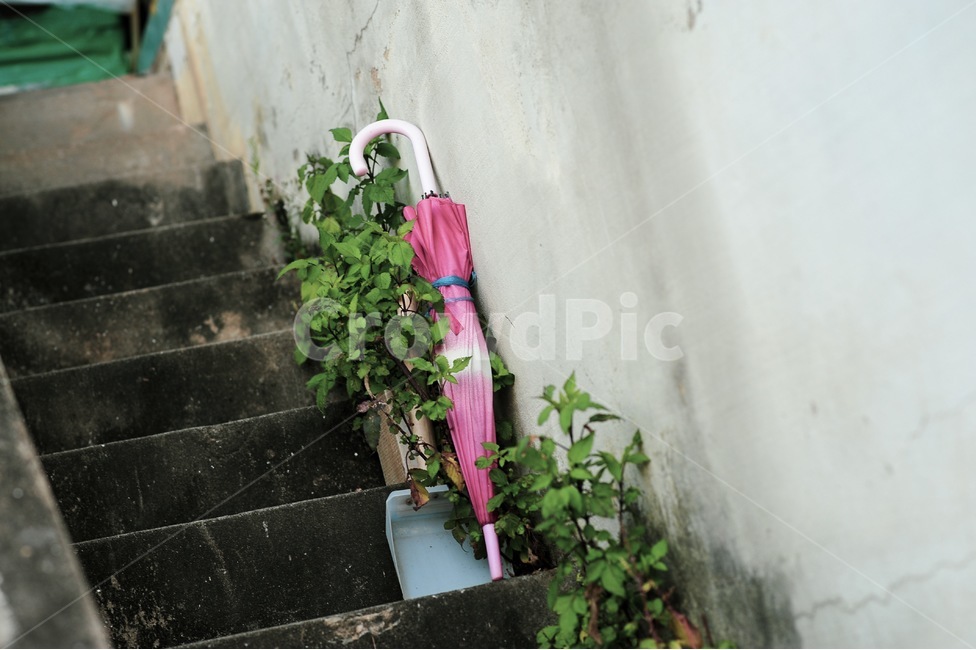난간,handrail,우산,폐가,화분,계단