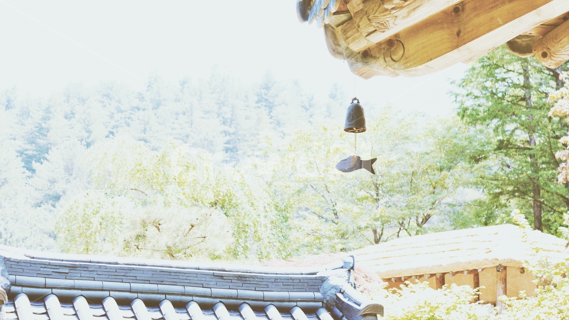 나무,하늘,구름,한옥,종,한국전통,한국문화,korean traditional,korean culture