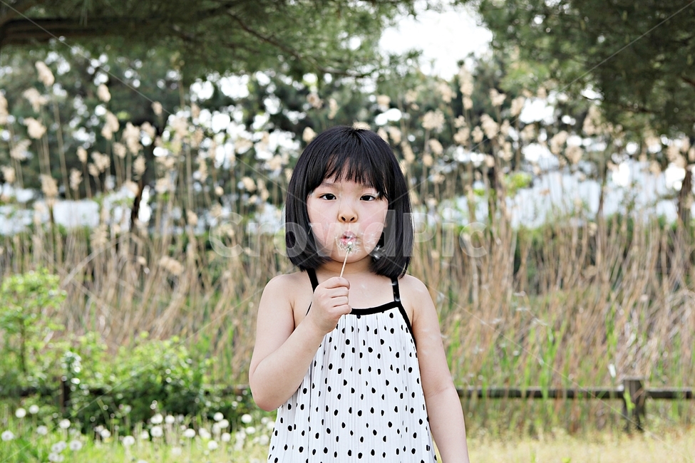 여자아이,아이,어린이,사람,풍경,배경,자연