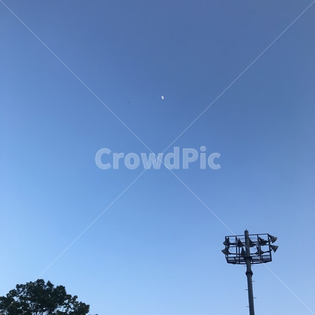 달,자연,나무,하늘,날씨