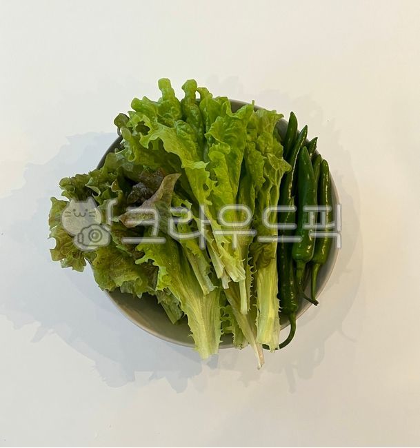 lettuce, 상추, vegetable, 야채, food, 사진,이미지,일러스트,캘리그라피 - b_rooming작가
