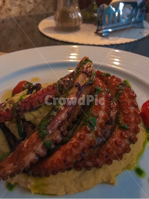 food,음식,meal,식사,dish,요리,문어
