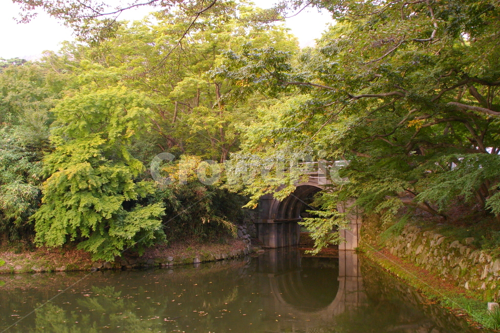 경주,풍경,자연,야외,가을,water,물,architecture,건축물,outdoors,옥외,자연,풍경,nature,landscape