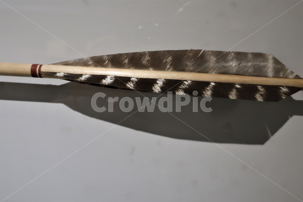 재래,무기,화살,화살깃,깃털,활,국궁,군사,발사,화살대
