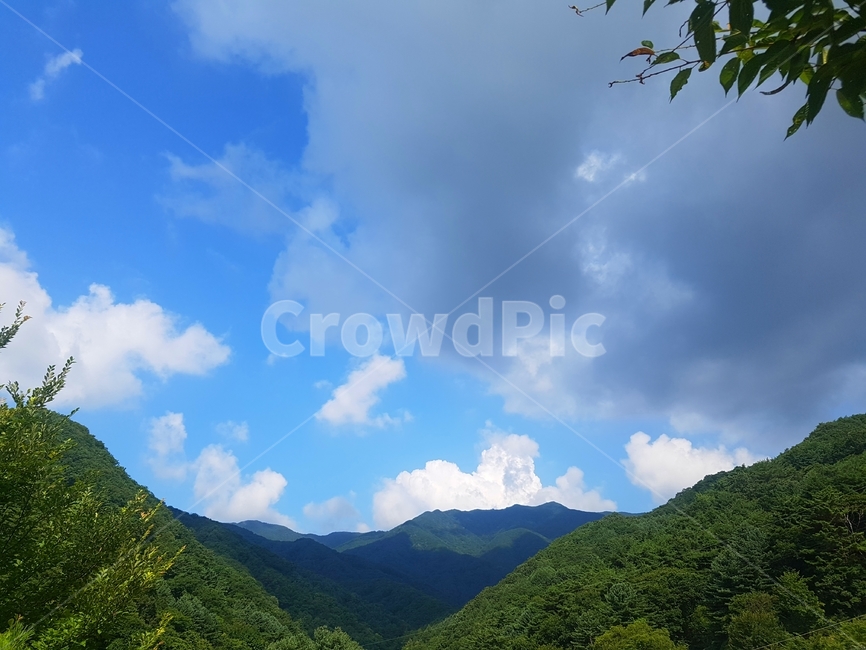 산,하늘,구름,여름,초록색나무들