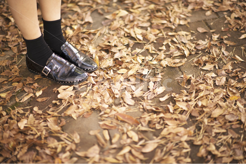 apparel,의복,clothing,의류,사람,person,인간,human,가을,나뭇잎,신발,발,낙엽,감성사진,season,갈색,패션스타일,lady,fall,단풍구경,자연,가을,계절,fall,autumn,season,신체일부,몸,body