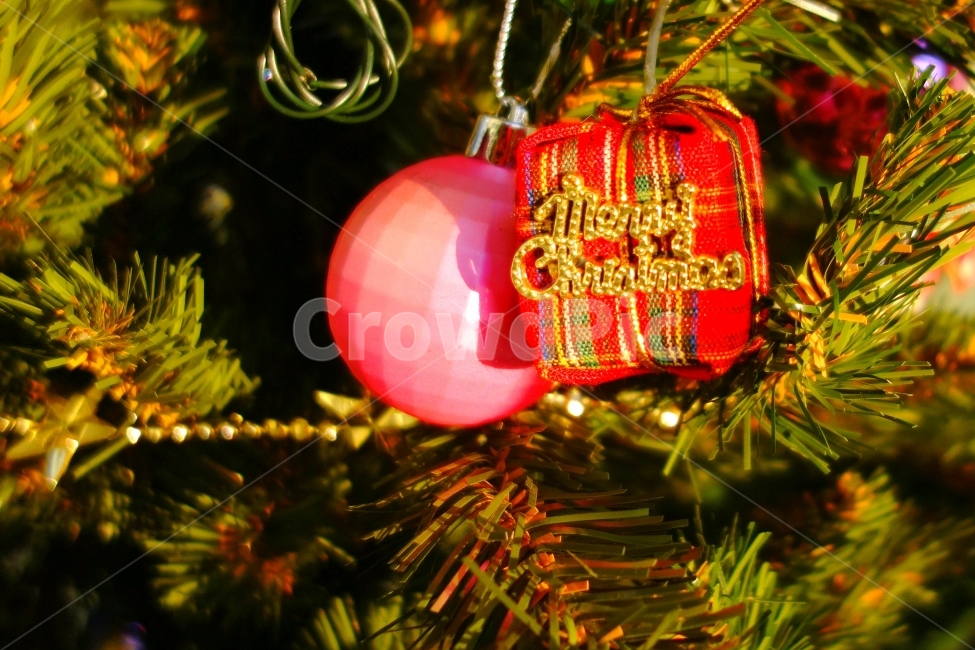 크리스마스,겨울,트리,감성사진,메리크리스마스,christmas,겨울,계절,winter,season,기념일,축하,anniversary,congratulation,celebrate,celebration,사물,물건,오브젝트,thing,object,matter