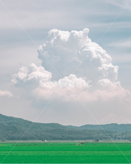 시골,농촌,논,밭,구름,장엄,풍경,자연,풍경,nature,landscape,감성,sensible,feeling,weather,날씨,outdoors,옥외,cloud,sky,하늘,cumulus,적운