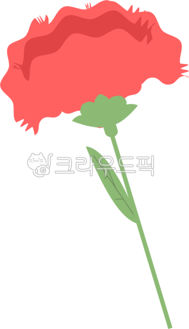 Carnation,flower,single flower,red flower,flower gift,Parents' Day,Teachers' Day