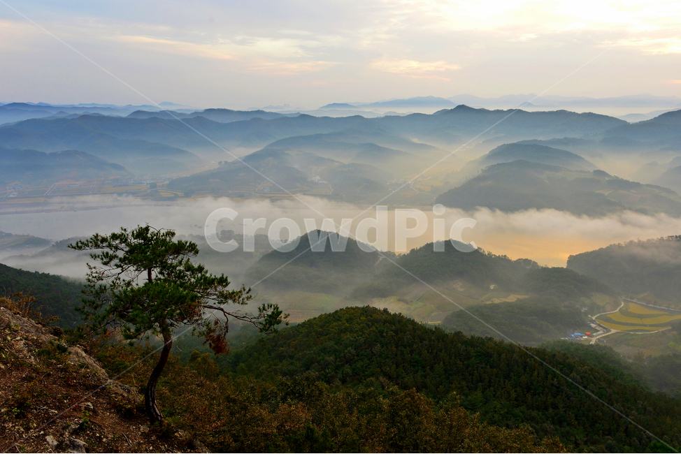 임실,국사봉,국사봉일출,여명,아침,해돋이,운해,소나무,nature,자연,mountain,산,mountainrange,산맥,outdoors,옥외,자연,풍경,nature,landscape