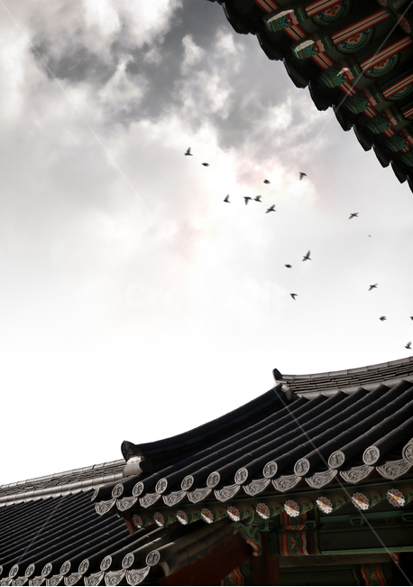 한국전통,한국풍경,고궁,전통,배경,배경이미지,백그라운드,건축,건물,동양건축,궁전,한국,문화재,유적지,하늘,구름,한국전통,한국문화,korean traditional,korean culture,건축물,건물외관,exterior,building,structure,architecture,construction