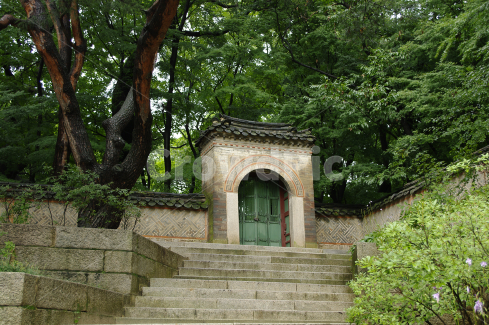 창덕궁,고궁,기와지붕,건축,traditional,전통,나무,담장,문,한국전통,한국문화,korean traditional,korean culture,건축물,건물외관,exterior,building,structure,architecture,construction
