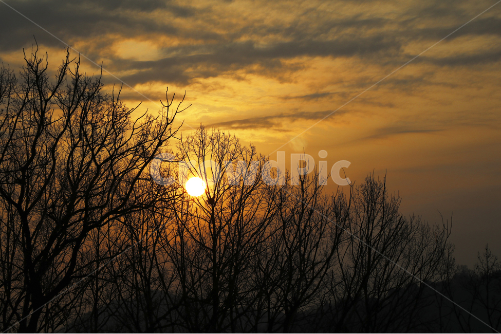 일출,일몰,햇빛,나무,노을,자연,풍경,nature,landscape,식물,plants,나무,trees,wood,outdoors,옥외,sunlight,dusk,황혼,sunset,dawn,새벽,sky,하늘,red sky,붉은 하늘