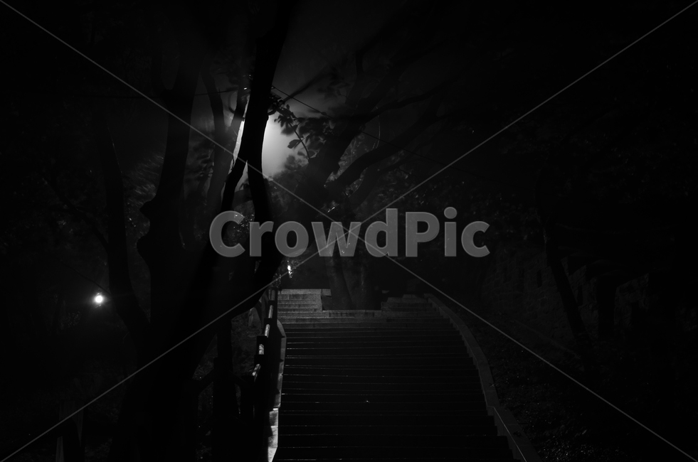 계단,오르막,가로등,야간,저녁,밤,새벽,handrail,banister,난간,안개공원,고독,감정,감성,디자인,필,느낌,분위기,서정,슬픔,우울,그리움,옛생각,회상,기억,추억,색감,칼라,블루톤,시안,디자이너,사보,카다로그웹,홈페이지,배너,팝업,모바일,콘텐츠,마케팅,오브젝트,이미지