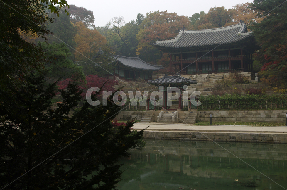 창덕궁후원,주합루,부용지,고궁,건축,전통건축,traditional,전통,가을,fall,나무,식물,plant,단풍,가을,계절,fall,autumn,season,한국전통,한국문화,korean traditional,korean culture,랜드마크,landmark,tourist attraction,한국랜드마크,한국관광지,한국명소,korea landmark,korea tourist attraction,건축물,건물외관,exterior,building,structure,architecture,construction,건물,shrine,신사,pagoda,탑,temple,신전,worship,예배