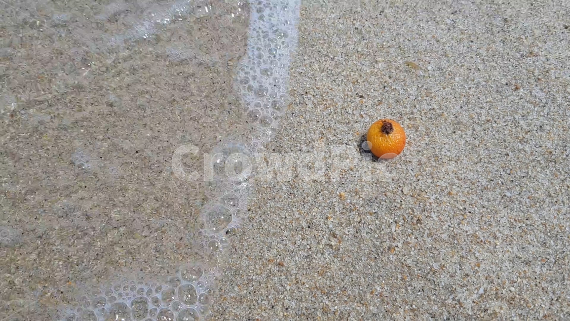 바다,해변,모래,해수욕장,파도