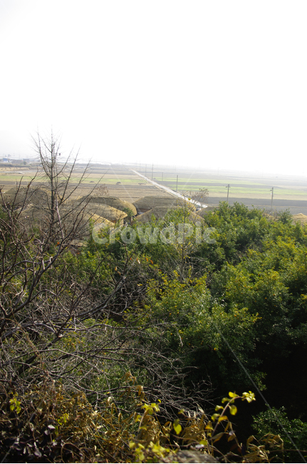 초가지붕,전통가옥,한국,마을,읍성,풍경,낙안읍성,시골,마을,풍경,landscape,country,rural,town