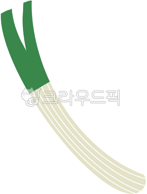 파, 대파, 쪽파, 채소, 야채, 사진,이미지,일러스트,캘리그라피 - 김이안작가