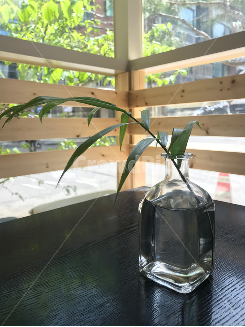 꽃병,카페,잎사귀,테이블,병,식물,자연,plants,nature