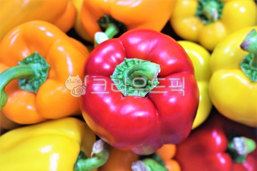 파프리카,채소,빨간파프리카,요리,식재료,음식,food,빨간색,주황색,노란색,colorful,알록달록,노란파프리카,주황색파프리카,yellow,red,orange,식단,재료,채소배경화면,colorfulbackground,야채,vegitable,paprika