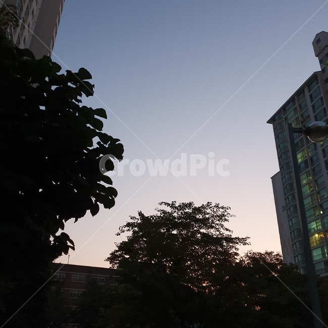 노을,하늘,밤,초저녁,저녁,officebuilding,건물,사무실건물,building,감성