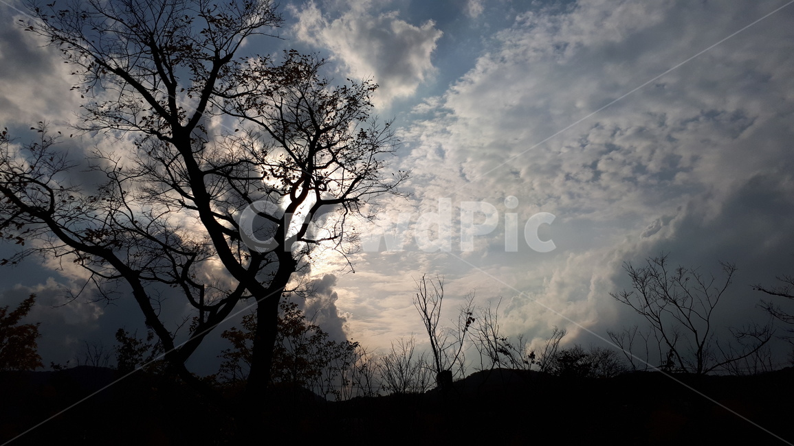 가을,하늘,구름,나무,청계산,자연,풍경,nature,landscape,outdoors,옥외,silhouette,실루엣,weather,날씨