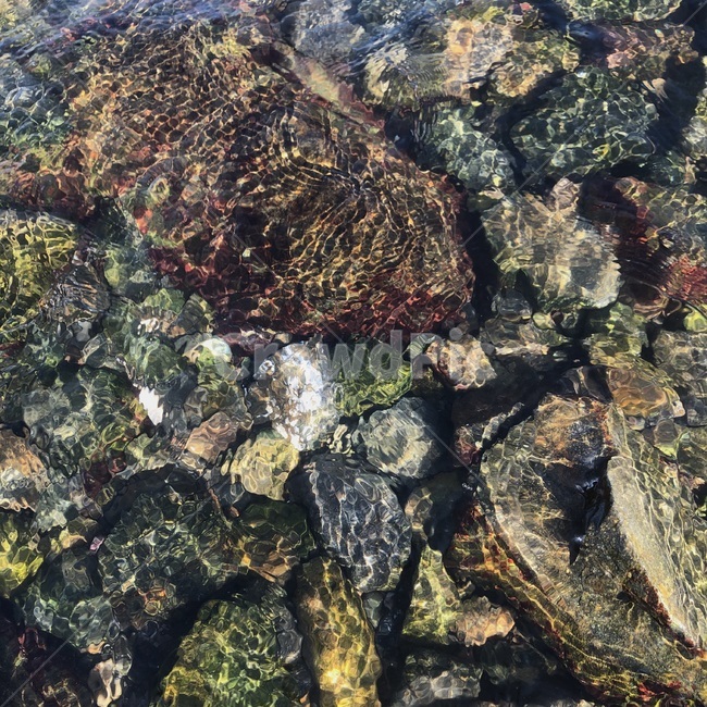 바다,암초,물결,돌,물,자연,풍경,nature,landscape,outdoors,옥외,water,ocean,대양,sea,animal,동물,reef,sea life,해양 생물,coral reef,산호초