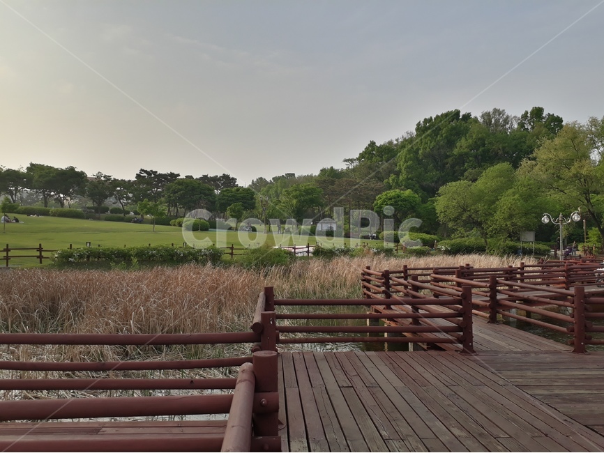공원,호수위,푸른들판,갈대,나무다리,자연,풍경,nature,landscape