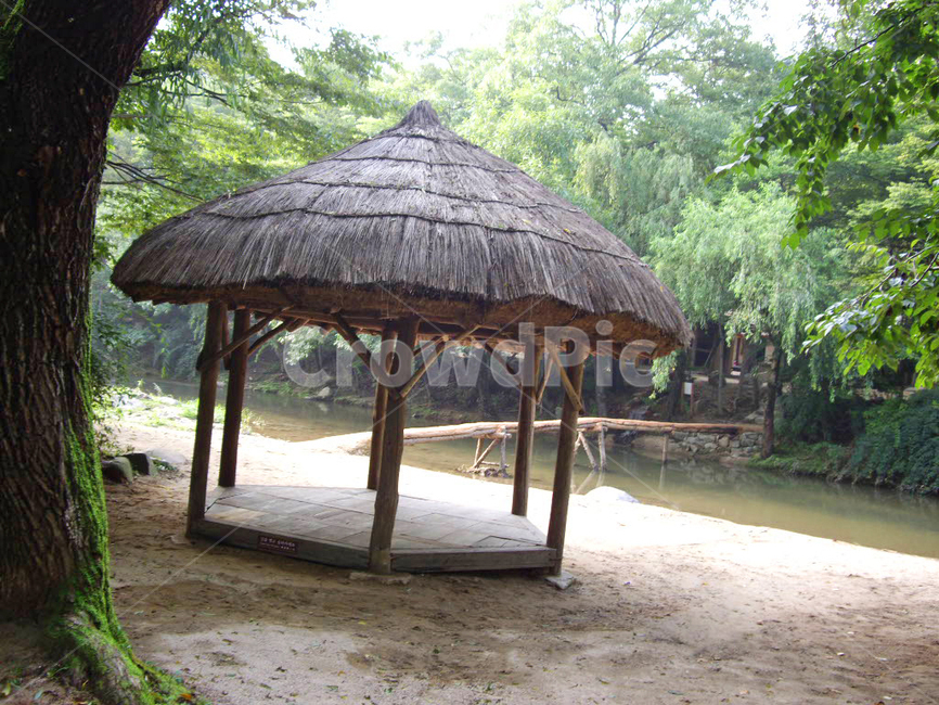 민속촌,민속마을,짚,한국전통,전통,전통마을,한국문화,보존,한국의미,옛마을,village,nature,plant,자연,풍경,식물,korean,주거지,나무,traditional,culture,outdoors,전통정원,옥외