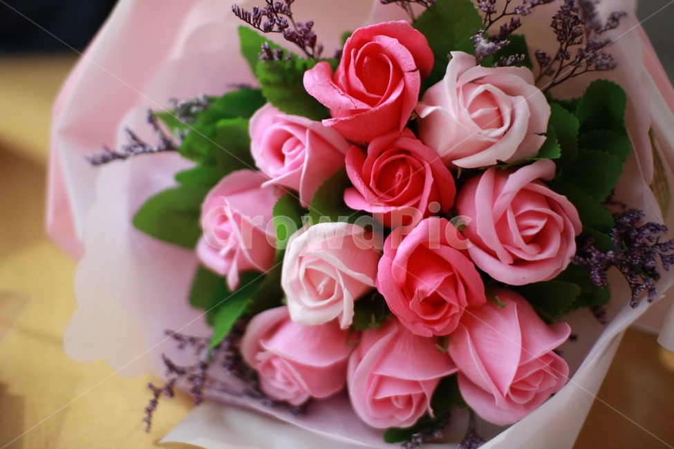 꽃다발,장미꽃,비누꽃다발,축하,꽃,핑크색,꽃송이,선물,예쁜,꽃,flower,기념일,축하,anniversary,congratulation,celebrate,celebration