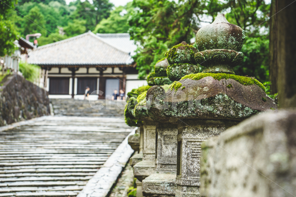 일본,신사,석조물,계단,자연,japan,asia,stone,stairs,nature,green,shrine,전통,오래된,traditional,old