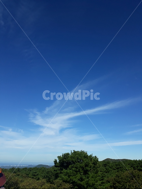 outdoors,옥외,nature,자연,하늘,새,새구름