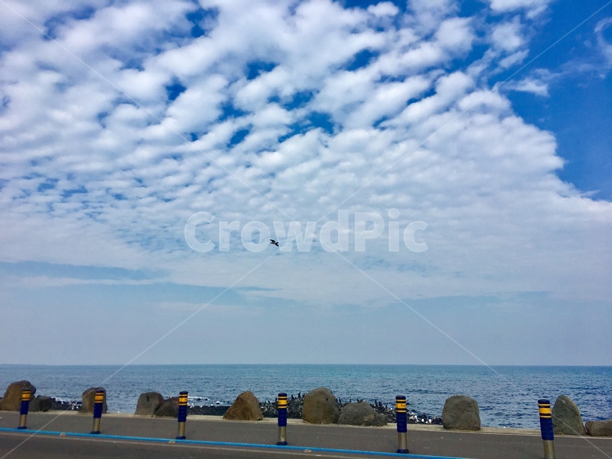 바다,제주도,구름,새,풍경,제주바다