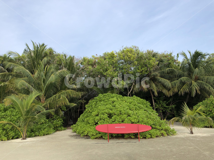 몰디브,maldives,휴양지,섬,island,하늘,서핑,surfing,서퍼보드,board,나무,tree,tropical,트로피칼,sky,구름,cloud,자연,nature,해변,outdoors,옥외,방갈로,bungalow,파라솔,parasol,의자,chair,cloudy,야자수,palm,숲,forest,여름,summer,트로피컬